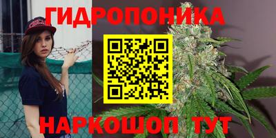 кокс Будённовск
