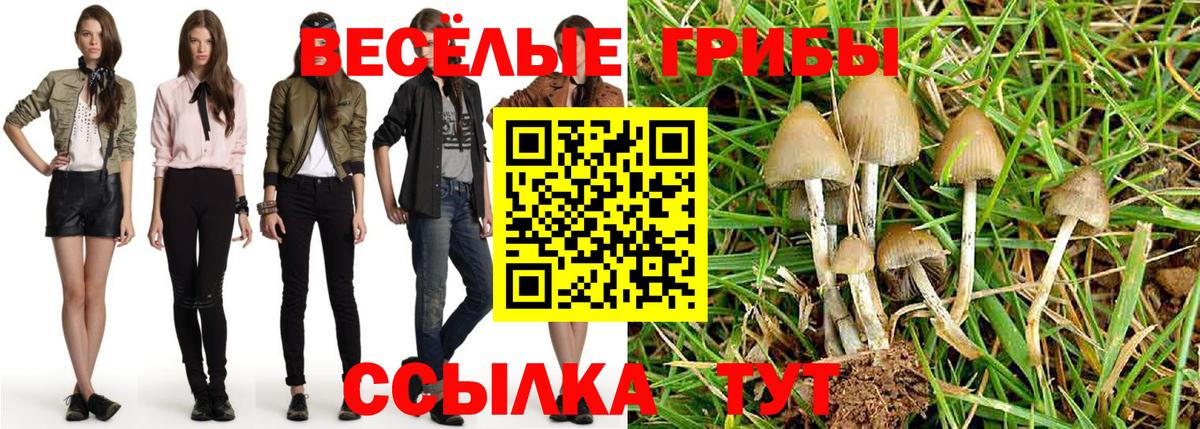 Псилоцибиновые грибы мицелий  Вход с VPN  Надым 